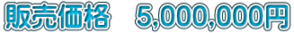 販売価格　5,000,000円
